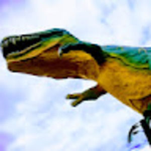 Meet your Posher, Lily